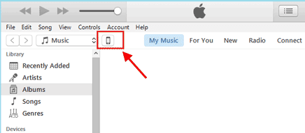 iTunes window