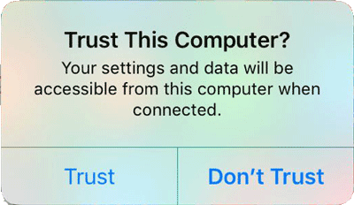 trust this computer